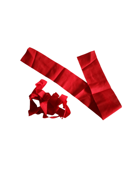 Red Hanuman Jhunda Flag