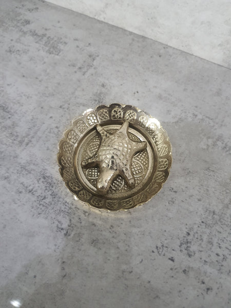 Brass Tortoise and Pond