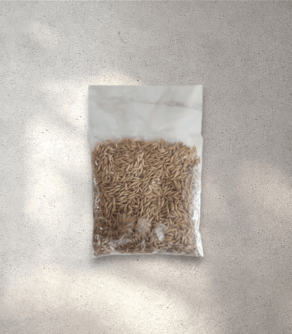 Paddy Rice (50 g)