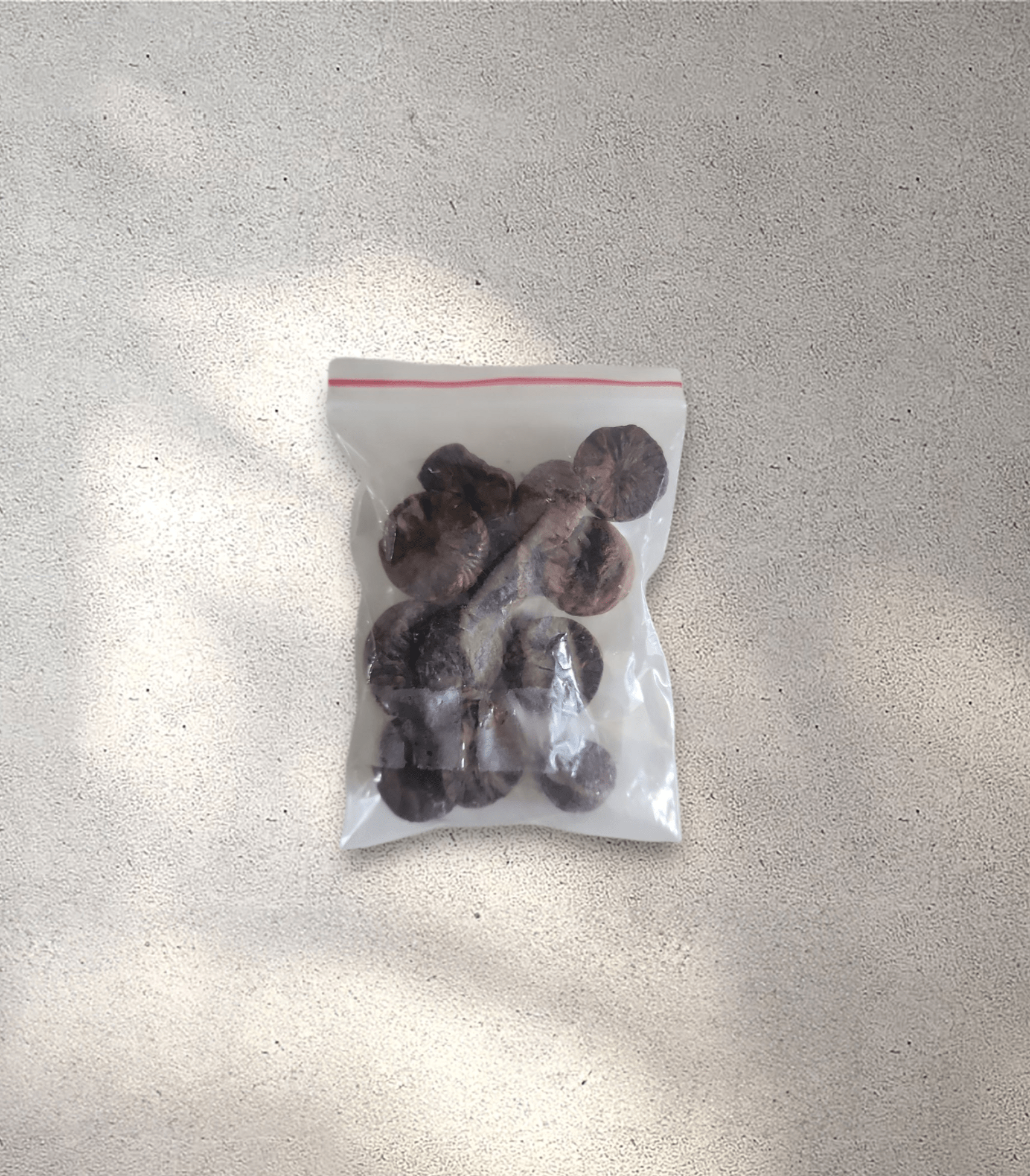 Black Beetle Nut - Supari (Pack of 10)