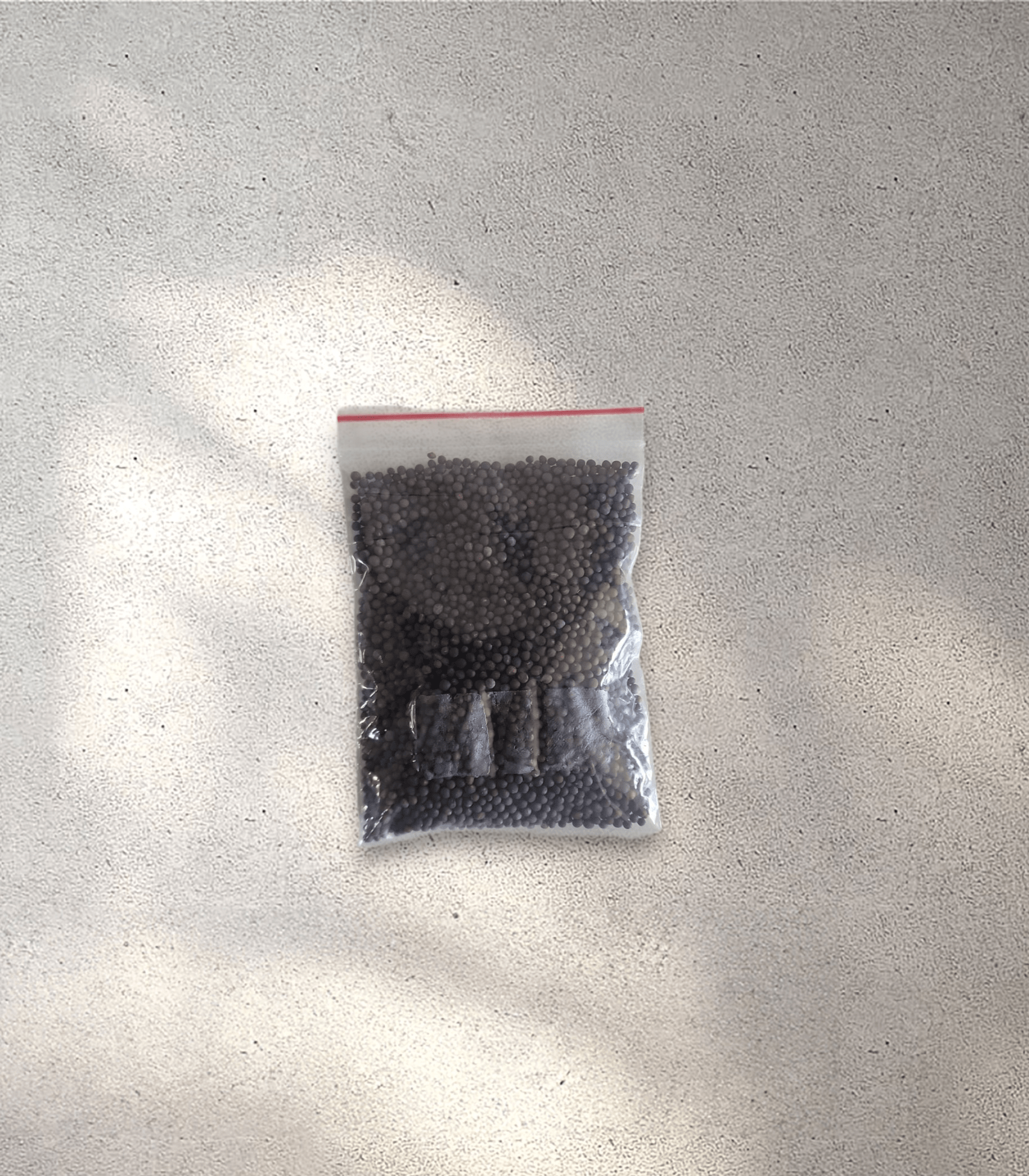 Black Mustard Seeds (25 g)