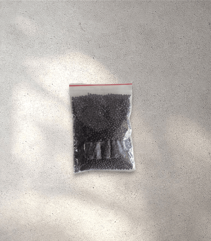 Black Mustard Seeds (25 g)