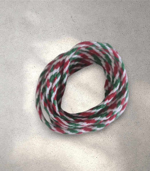 Saraswati String