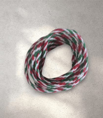 Saraswati String