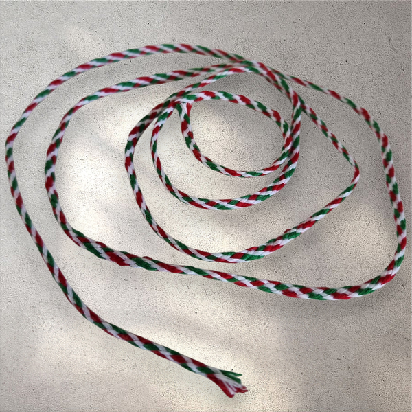 Saraswati String