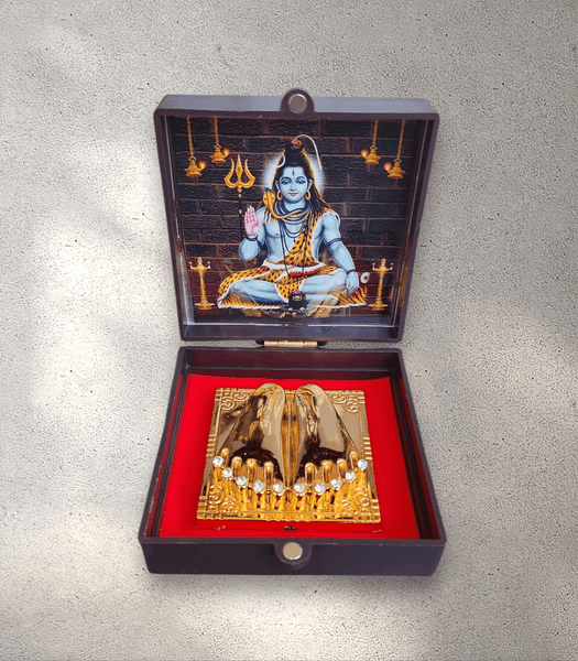 Shiva Astha Box