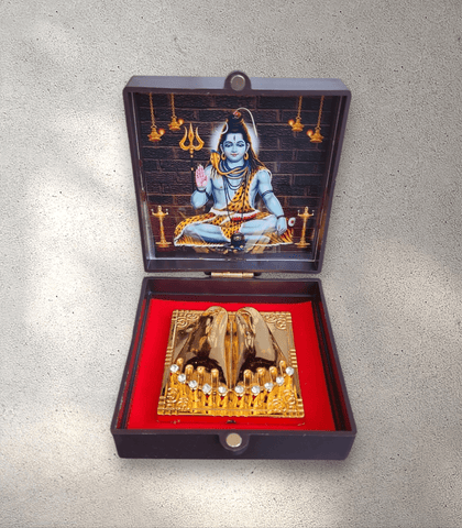 Shiva Astha Box