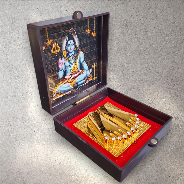 Shiva Astha Box