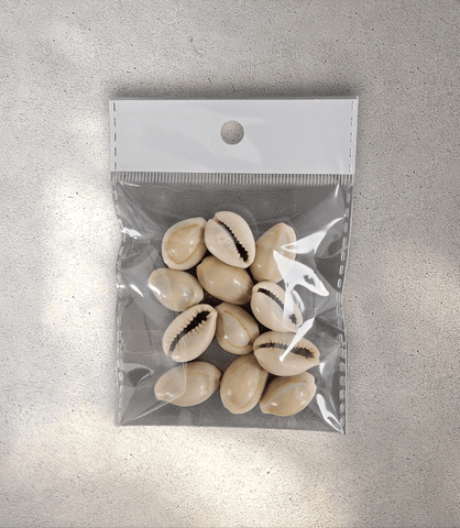 Cowrie Shells - Pack of 12