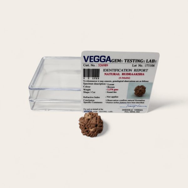 Rudraksha Bead 4 Face (4-Mukhi)