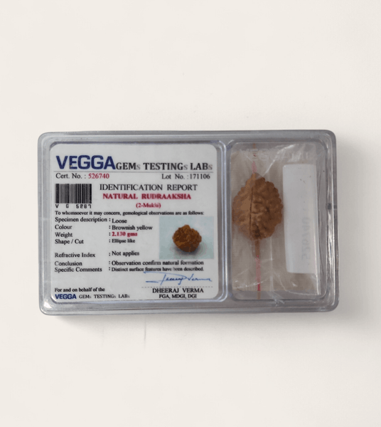 Rudraksha Bead 2 Face (2-Mukhi)