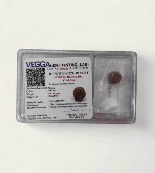 Rudraksha Bead 7 Face (7-Mukhi)