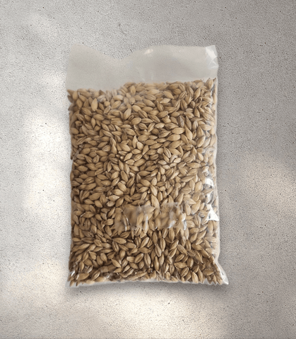 100 g Jav/Joe