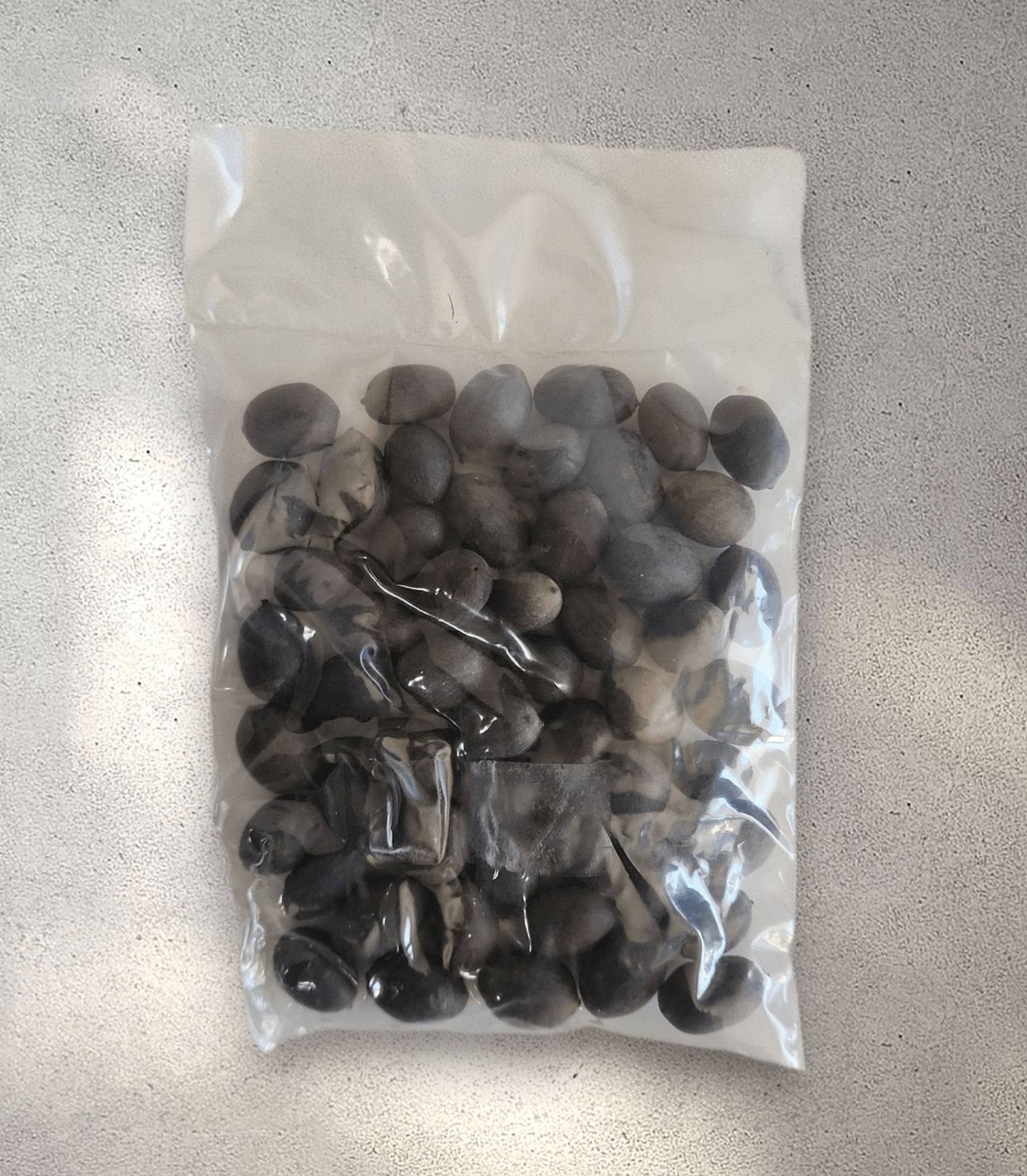 Lotus Seeds (30 g)