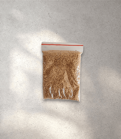 Yellow Mustard Seeds (25 g)