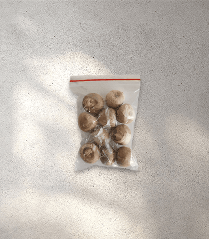 Beetle Nut (Pack of 10)