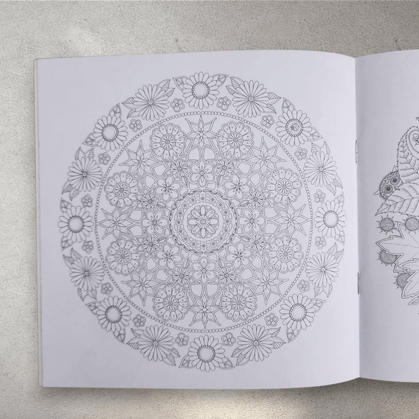 Nature & Mandala Adult Colouring Book Collection