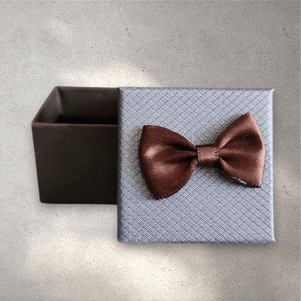 Small Souvenir Box with Bow