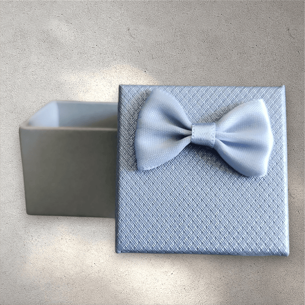 Small Souvenir Box with Bow