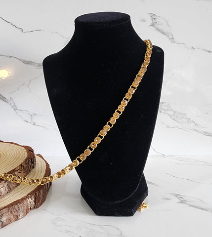 Single Line Gold Sari Belt
