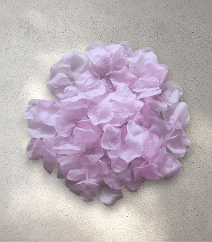 Pink Flower Petals