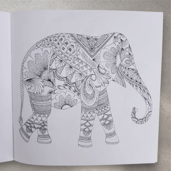 Nature & Mandala Adult Colouring Book Collection