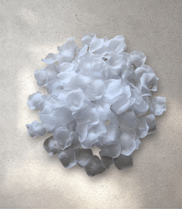 White Flower Petals