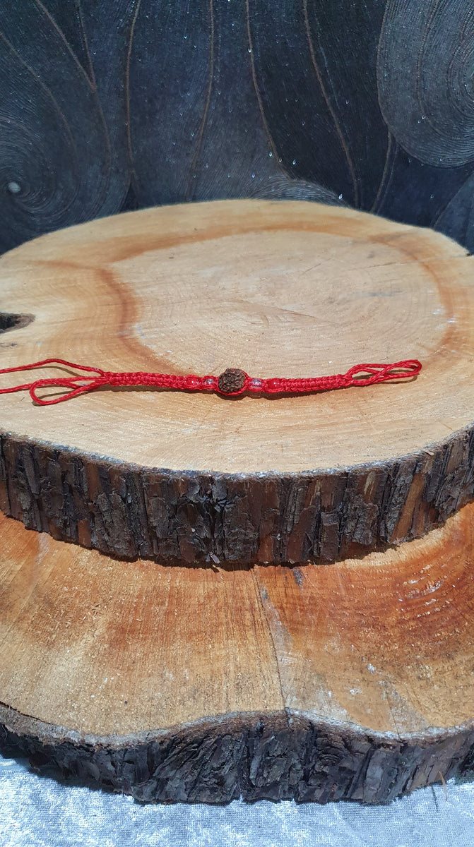 Lakshmi String with Rudraksha and Beads – The Guru's Hut